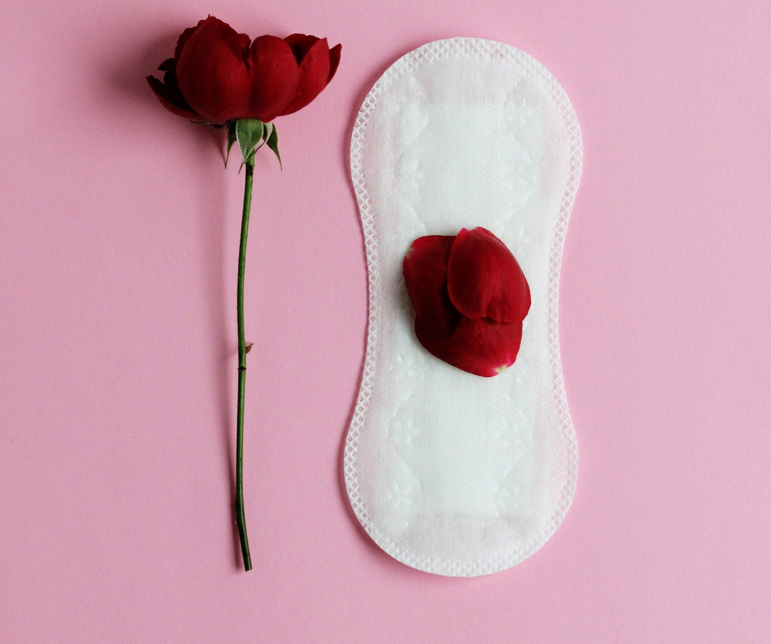 Sanitary pad Sanitary pad